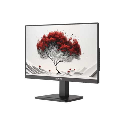 Монитор RDW Computers RDW2401K (2401K/F08В0120V2A1B) черный