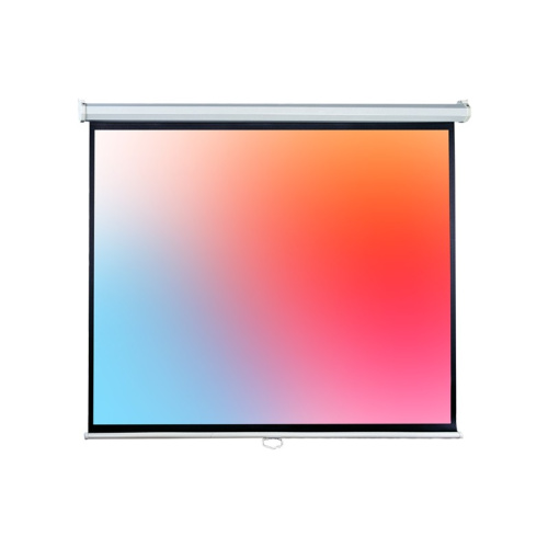 Экран Lumien Eco Picture (LEP-100116) White