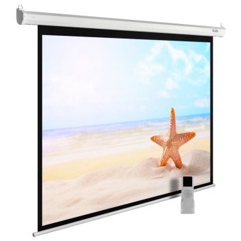 Экран Cactus 138x220см SIlverMotoExpert CS-PSSME-220X138-WT 16:10 настенно-потолочный рулонный белый (мотор привод)