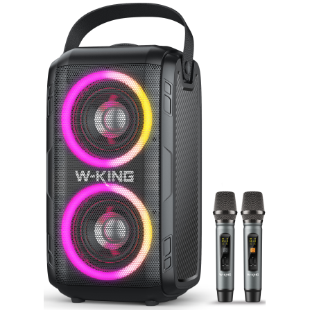 Портативная колонка W-King T9 II (черный)