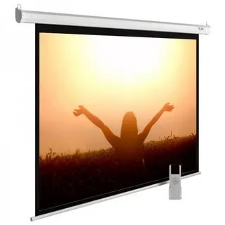 Экран Cactus 138x220см MotoExpert CS-PSME-220x138-WT 16:10 настенно-потолочный рулонный белый (моторизованный привод)