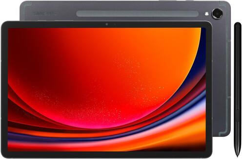 11" Планшет Samsung Galaxy Tab S9 Wi-Fi 256 ГБ серый + стилус