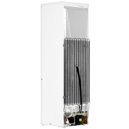 Холодильник Don R-295 BI белая искра