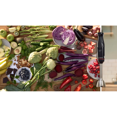 Блендер Bosch MSM4B6V2