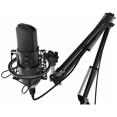 Микрофон RITMIX RDM-169 Black