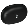 Наушники TWS Beats Studio Buds черный
