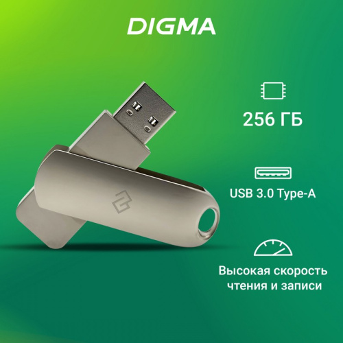USB-флешка Digma 256Gb Drive3 DGFUM256A30SR USB3.0 серебристый