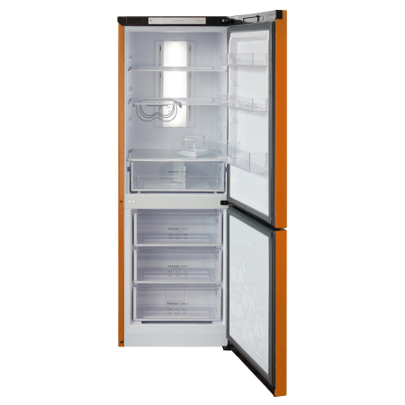 Холодильник БИРЮСА T920NF