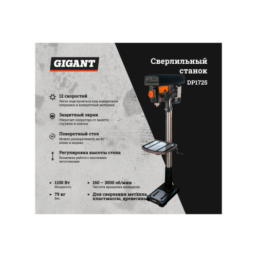 Сверлильный станок Gigant DP1725