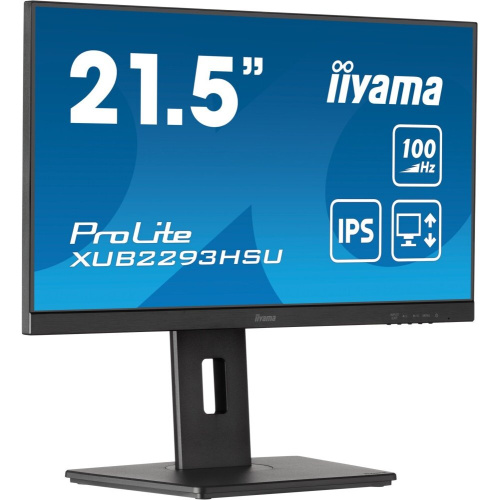 Монитор Iiyama ProLite XUB2293HSU-B6 черный